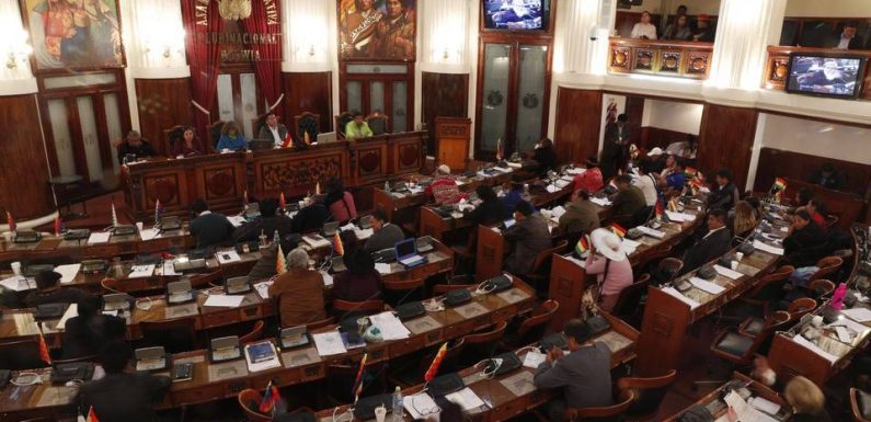 Bolivie: La présidentielle aura lieu le 3 mai