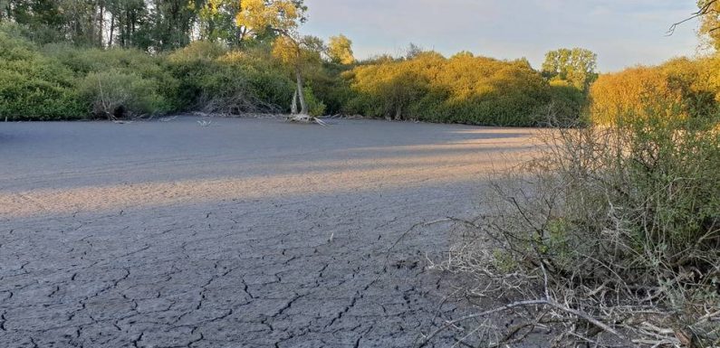 Météo : Le département du Nord placé en état de vigilance sécheresse par le préfet