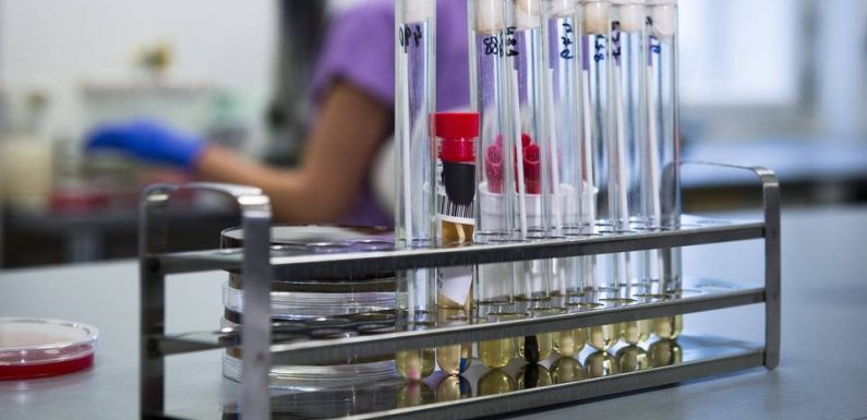 Non, le coronavirus n’a pas été créé (ni breveté) aux Etats-Unis