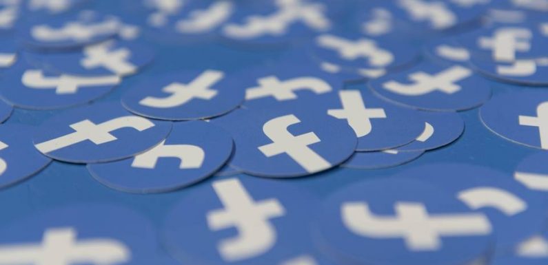 Etats-Unis : Facebook reconnaît que la bonne utilisation de ses services par Donald Trump a favorisé son élection
