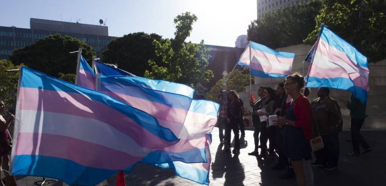 Le pronom neutre « they » désigné mot de la décennie aux Etats-Unis