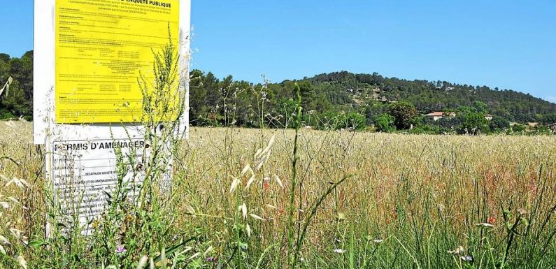 Montpellier : Un collectif se bat contre l’implantation d’un centre commercial Decathlon dans un champ