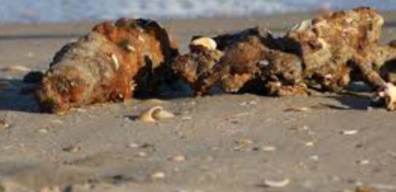 Gironde : Attention aux obus sur les plages du littoral