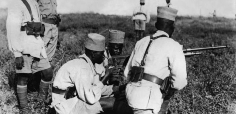Seconde Guerre mondiale : « On a oublié les soldats des troupes coloniales pendant trente ans », selon l’historien Pascal Blanchard