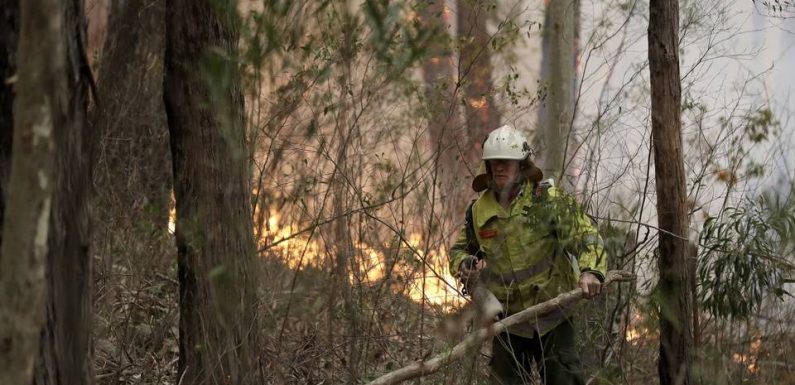 Vous habitez en Australie et vous subissez les incendies ? Venez témoigner