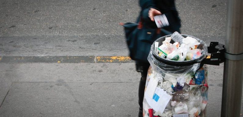 Toulouse : Couches lavables en crèche ou collecte des biodéchets, les idées pour une Ville rose « zéro déchet »