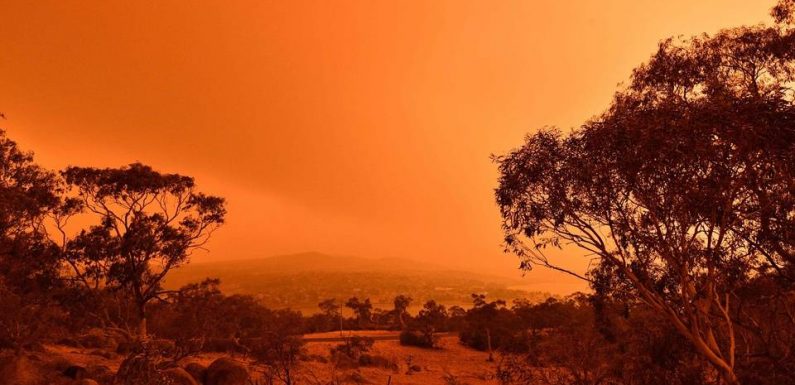 Incendies en Australie : Les évacuations se poursuivent, températures records à Sydney