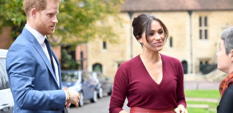 VIDEO. Quels métiers vont bien pouvoir exercer Meghan et Harry pour subvenir à leurs besoins ?