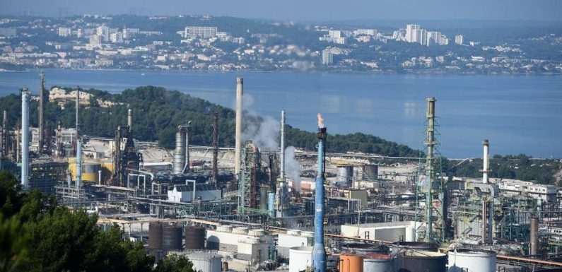 Huile de palme : Les associations en colère face à l’exonération fiscale d’un dérivé d’huile de palme avant une hypothétique concertation