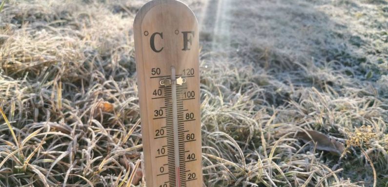 VIDEO. 2020, nouvelles années folles: Etes-vous éco-anxieux, solastalgique ou souffrez-vous d’éco-paralysie ?