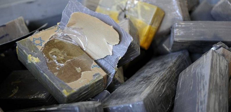VIDEO. Argentine: 500kg de cannabis disparaissent, les policiers accusent les souris