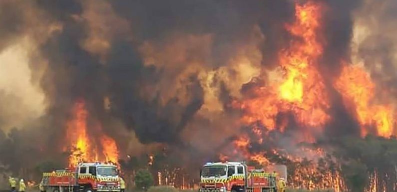 Incendies : Plus que le vent et la canicule, « l’Australie paie la sécheresse de l’hiver dernier »