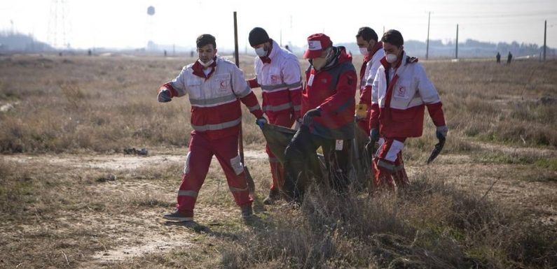 Iran : Le Boeing 737 a fait demi-tour à cause d’un « problème » avant de s’écraser