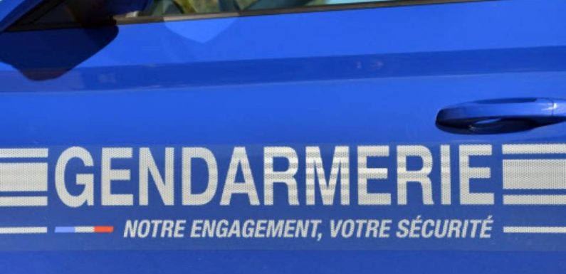 Eure : Un appel à témoins lancé après la découverte suspecte d’un corps sans vie en forêt