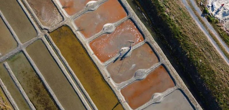 PODCAST. Comment un producteur de sel a trouvé la liberté dans les marais salants