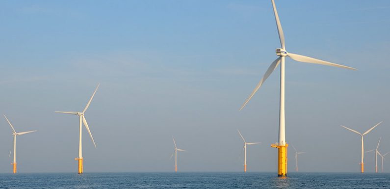 Éolien en mer : erreurs du « maître » gouvernemental ou… mensonges ?