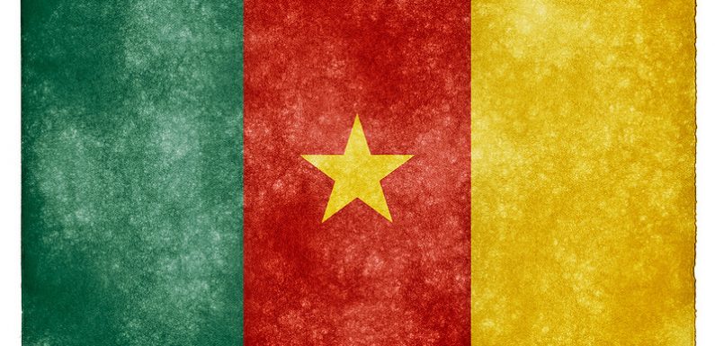 Cameroun : que penser de la nouvelle loi sur la décentralisation ?