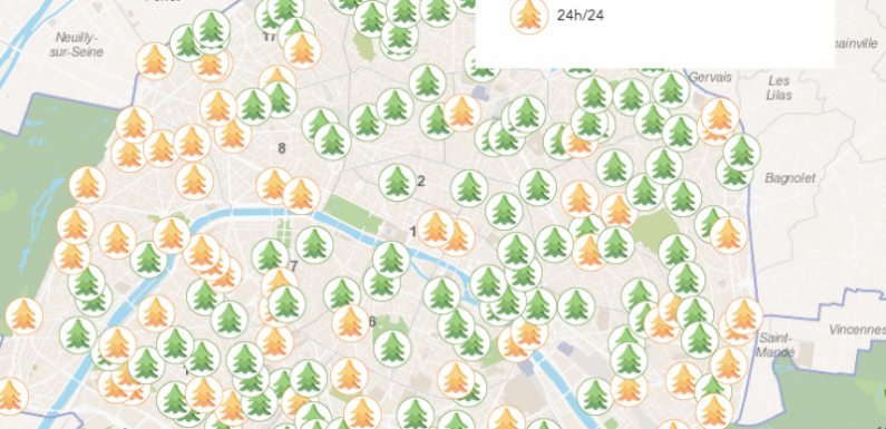 Où recycler son sapin à Paris et ailleurs après les Fêtes ? [CARTE]