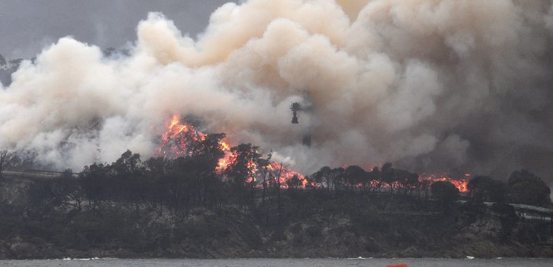 Les pompiers français envoyés en Australie sont rentrés : « On a été très impressionné »