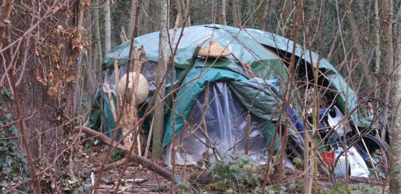 Paris : un SDF retrouvé mort dans le bois de Vincennes