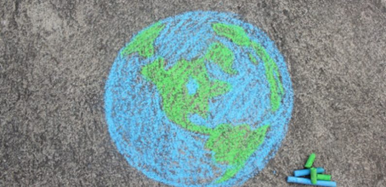 Les bonnes nouvelles pour la planète en 2019
