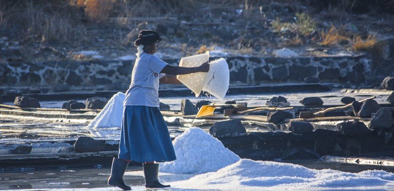 Île Maurice : pourquoi les femmes sont-elles politiquement sous-représentées ?