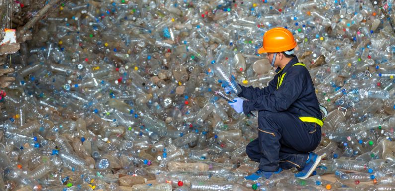 Premier pollueur au monde, la Chine veut éliminer tous les plastiques à usage unique
