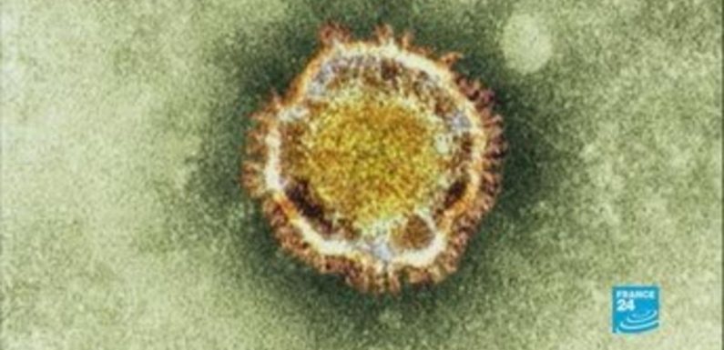 L’hypothèse d’un nouveau coronavirus pour expliquer des cas de pneumonie en Chine