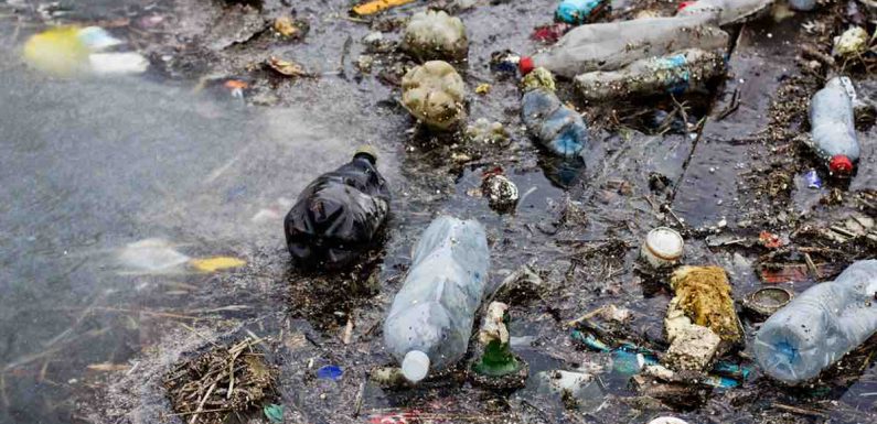 En Norvège, 97% des bouteilles en plastique sont recyclées