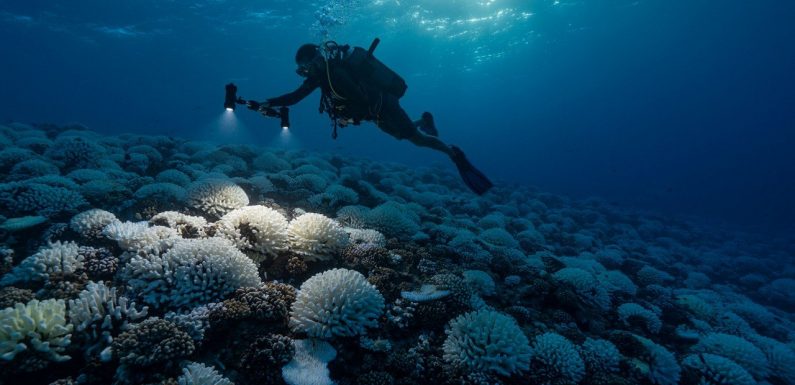 Le changement climatique précipite la planète vers un dangereux point de non-retour