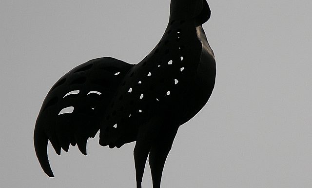 La France malade de sa fascination pour le tout-politique