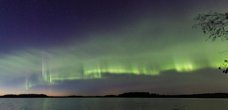 VIDEO. Des astronomes amateurs identifient une nouvelle forme d’aurore boréale