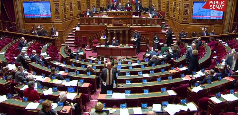 Bioéthique : le Sénat, à majorité de droite, adopte l’article sur la PMA pour toutes les femmes