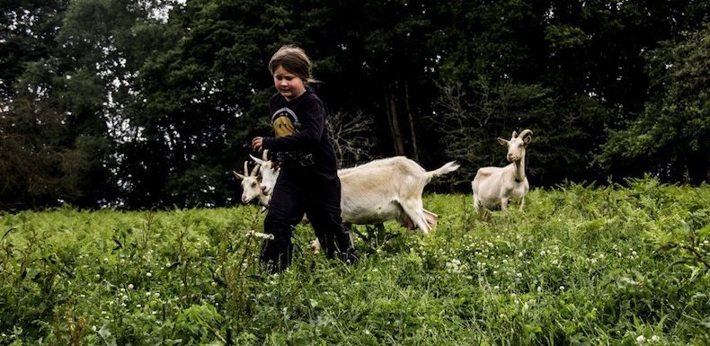 Ecologie, sobriété heureuse, résilience… Peut-on vraiment vivre sans la croissance ?