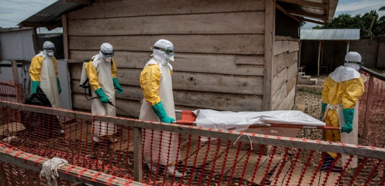 Le réchauffement climatique pourrait favoriser Ebola