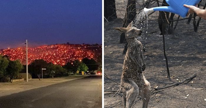 40 photos qui montrent l’enfer vécu par les Australiens