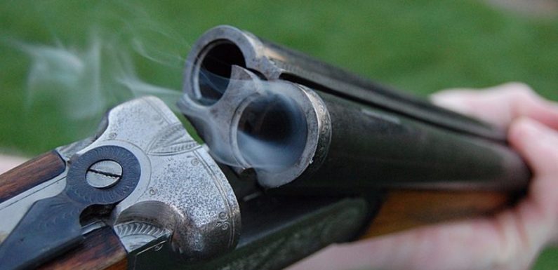 Finistère : Un chasseur rate sa cible, la balle termine dans la cuisine d’une habitation
