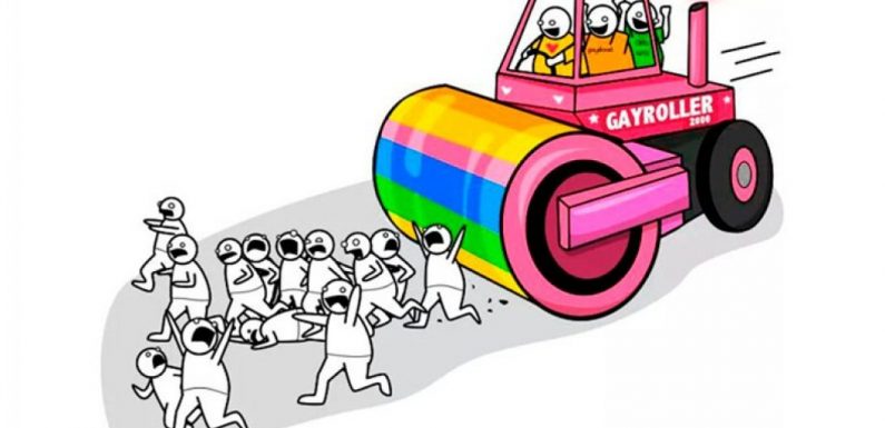 Conférence VITA attaquée à Rennes : la dictature LGBT continue en toute impunité