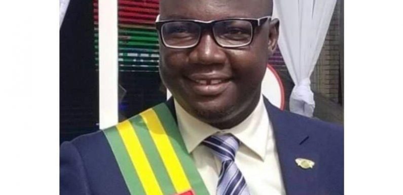 Togo : Gerry Taama se retire de la course au fauteuil présidentiel