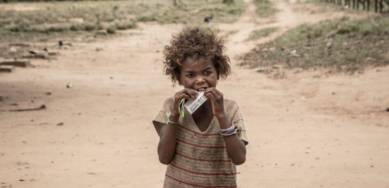 45 millions de personnes menacées par la famine en Afrique australe
