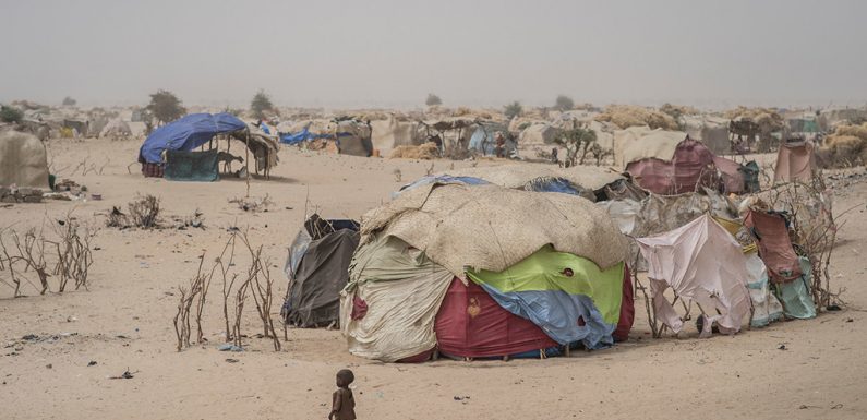 Au Niger, 2,9 millions de personnes auront besoin d’aide humanitaire en 2020 (ONU)