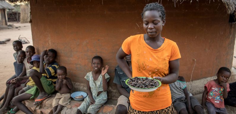 La crise climatique affecte la qualité de vie des gens et alimente leur mécontentement (ONU)