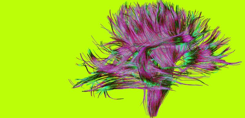 5 of the strangest psychology cases in history