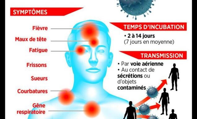 Coronavirus : quels sont les symptômes, quelles consignes adopter ?