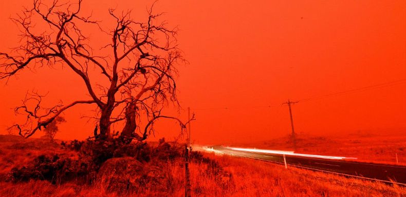 « Chaque année, l’intensité des feux augmente » : à l’heure où l’Australie brûle, l’avenir des forêts françaises en question