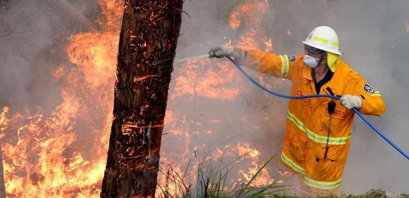Australie : l’incroyable vidéo d’un incendie qui détruit tout un paysage en à peine trois minutes