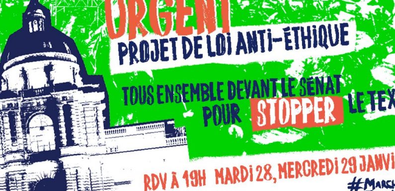 L’article 17 qui autorisait la création d’embryons chimériques et transgéniques est supprimé