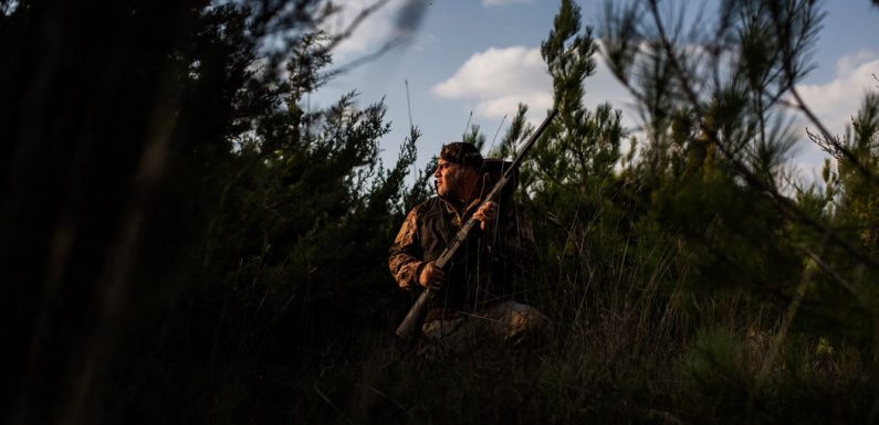 Invoking Islamic Tradition to Save Birds in Lebanon