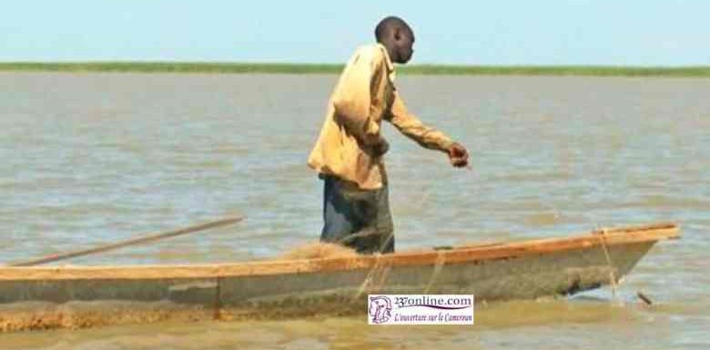 Cameroun: Une cinquantaine de pêcheurs égorgés par Boko Haram