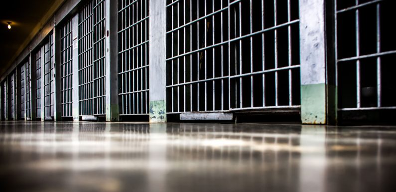 Visite de sites pédopornographiques : le durcissement des peines se met en place